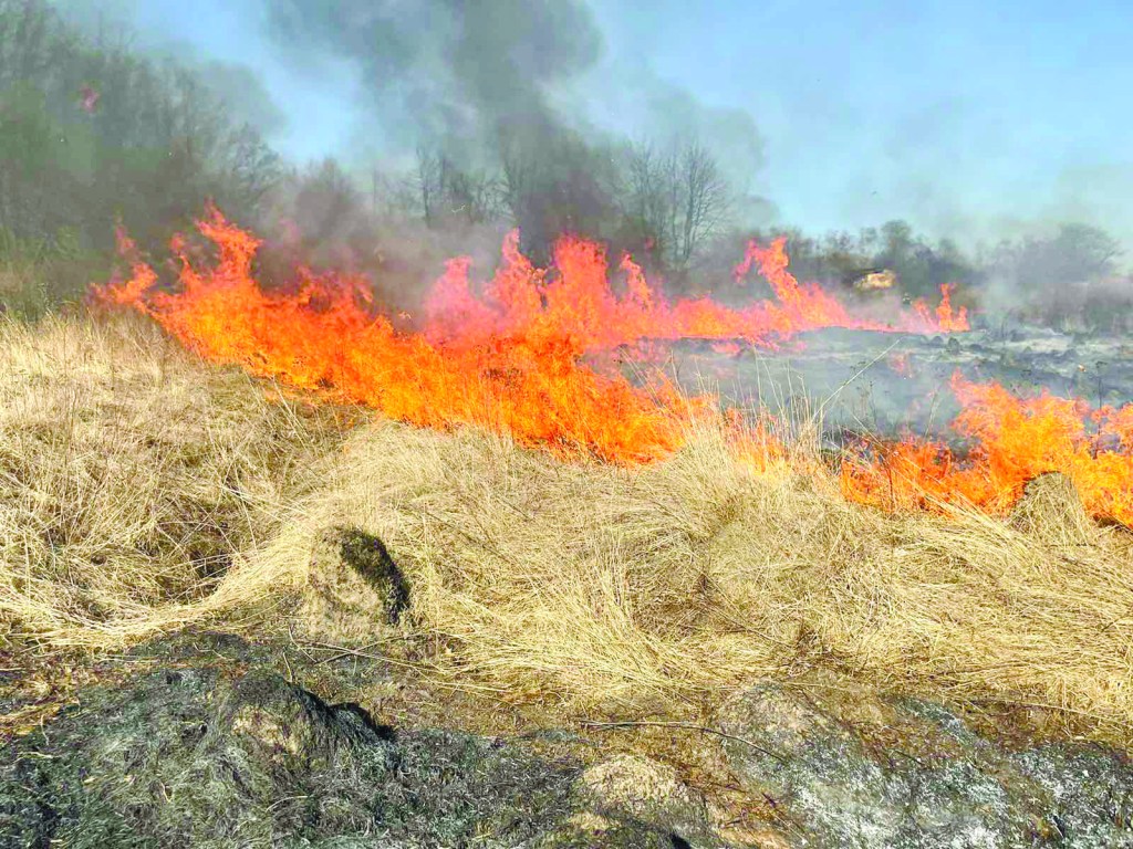 Arderea ierbii uscate șia deșeurilor este o&nbsp;crimă!