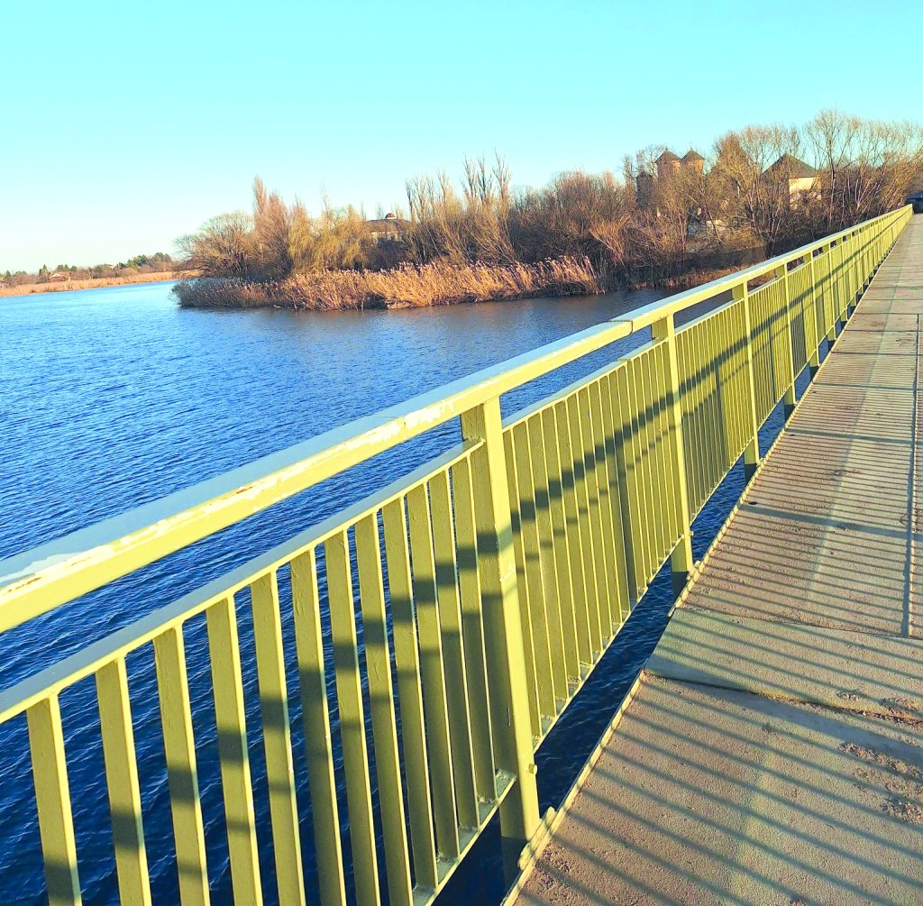 UN VIS AIEVEA, BUCURII PRIN&nbsp;BUCUREȘTI